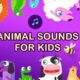 Animal Sounds With Beautiful Animations | Baby First Words | Neroni Kids