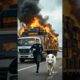 Animals Alert to Humans | Wild Animal Rescue Videos #animals #shorts #shortvideo #animalrescue #reel