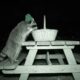 Animals Playing at Night - Night Security Camera