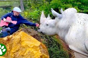 Animals captivated by this man’s singing
