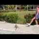 Best Fails of The Week: Funniest Fails Compilation:Funny Video part 1