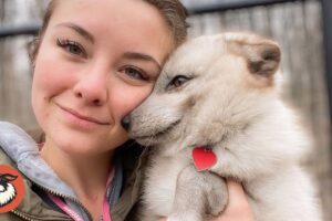 Blind Arctic Fox Was Thrown Away Like Trash — Now He Sleeps On His Rescuer’s Head