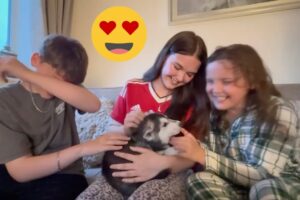 CUTEST Puppy Surprise Ever! Kids’ Reactions Will Melt You 🐶😍