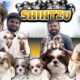 Coimbatore Shihtzu Dogs அழகும் Quality-யும் Guaranteed! Cute Puppies | All India Delivery