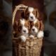 Cutest Puppies #techartgenius #doglove #dog #puppy #puppies #aiart #viralarts #viralvideo #viral #ai