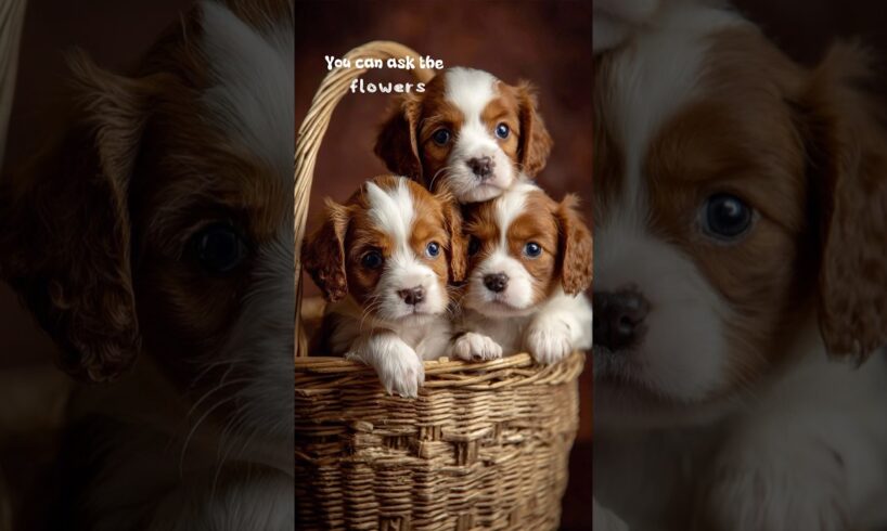Cutest Puppies #techartgenius #doglove #dog #puppy #puppies #aiart #viralarts #viralvideo #viral #ai