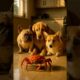 Cutest dogs vs. a giant crab. Who's winning? #funnydogs #puppies