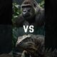 Deadly Showdown: Scariest Animal Battles Ever! 🐺🐍🦍 #AnimalFights #EpicShowdown #Short
