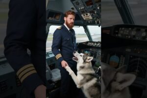 Dog Warned of Danger on Plane in Time. Everyone Safely Evacuates! #dog  #animals #rescue