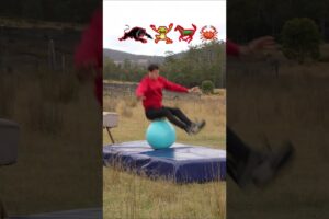 #Fails #BehindTheScenes - How animals Parkour.