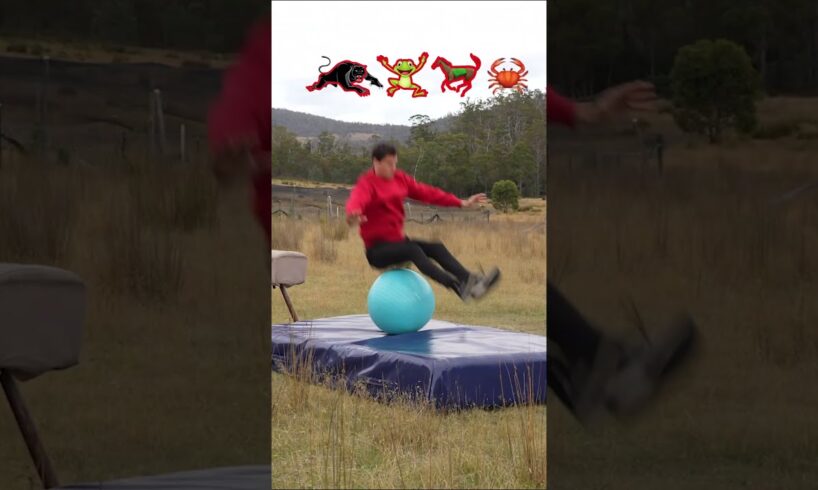 #Fails #BehindTheScenes - How animals Parkour.