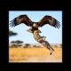 Flying Eagle vs Cheetah Clash 🐆🦅 | Wild Animal Fight Shorts #wildlife #anime