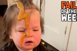 Funny Videos Try Not to Laugh: Funny Fails Compilation: People Failing Hilariously | FailArmy - P113