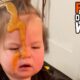 Funny Videos Try Not to Laugh: Funny Fails Compilation: People Failing Hilariously | FailArmy - P113