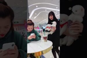 "Girl Surprises with 4 Cute Puppies in the Mall 🐶❤️ #PuppyLove #ShoppingDay