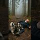 Husky Rescues an Elderly Man #shorts #funny #dog #rescue