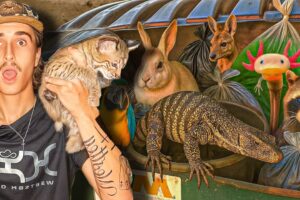 I Found 23 Live Animals In Pet Store Dumpsters