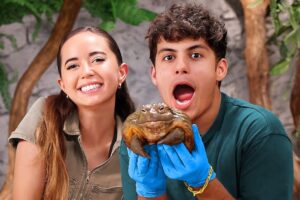 I Went To Maya Higa's Alveus Sanctuary!