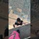 Just hanging out. #adventuresports #basejump #skydive #extremesports  #skydiving  #fall #adventure