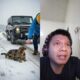 Kind Grandfather Rescues Abandoned Cat in the Snow | Heartwarming Animal Rescue Story 2025