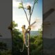 Leopard Cuts Tree & Monkey Falls Down | Wild Animal Fight 🐆🐒🌳 #junglelife  #loveinthejungle