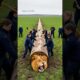 Lion Rescues From A Giant Fallen Tree Log! #humanity #lion #animals #pets #rescue