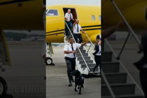 Loyal Angel Dog’s Warning Saves Everyone From Disaster! #rescue #animals #pets