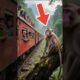 Monkey HIJACKS Train to Save Everyone! #animals #wildlife #animalrescue #miracle #rescue #animal