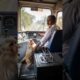 Monkey stops train #ai #foryou #rescue #animals #animalrescue #india