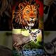Most SHOCKING Animal Fights You've NEVER Seen#shortvideo #tiger #lion s#viral