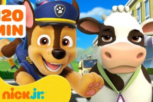 PAW Patrol Animal Rescue Missions in Adventure Bay! 🐮🐱 | 2 Hours | Nick Jr.