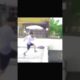 POV: God almost called you early ☠️ | Parkour Gone Wrong