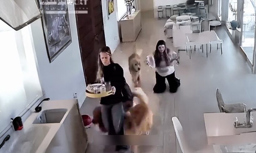 People Having a BAD day 🤣 Best Fails of the Week #25