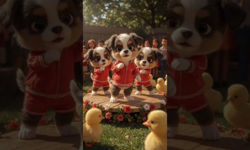 Puppy Dance on Garden Stage 🐶🌸 Funniest Dog Performance Ever | #Shorts #DogDance