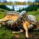 Python Attacks Deer | Giant Snake Eating Deer | Animal Rescue Story | AI Wildlife Documentary