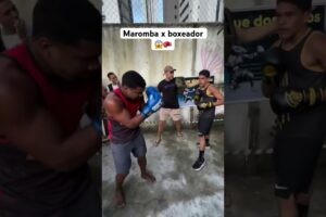 Que nocaute 🥊😱🔥 #mma #muaythai #ufc #sparring _#sparringsession