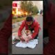 Rare Pink Dog Found Injured 😢 | Rescue & Medical Care #animals #animalrescue #rescueefforts #dog
