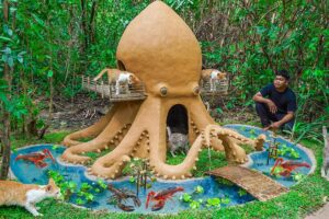 Rescue Cats Build Cat House Octopus and Fish Pond For Crayfish