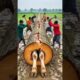 Rescue Horse Form Deadly Giant Tree Log! #humanity #pets #animals #funny #wildlife