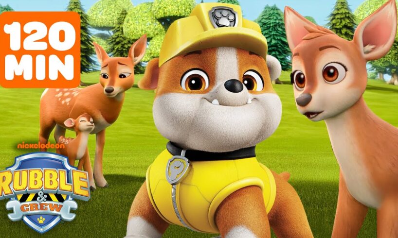 Rubble Rescues Animals In Builder Cove! w/ Wheeler, Charger & Mix | 2 Hours | Rubble & Crew