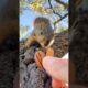 Squirrel Fishing with GG’s new Baby Boy #animals #games #play #reels #feed #live #sports #nfl #free