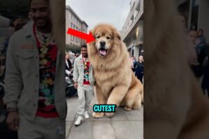 TOP 5 CUTEST BUT SUPER DEADLY DOG BREEDS IN THE WORLD! 💀😱