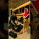 The Brave Golden Retriever Who Saved the Passengers #hero #animalrescue #sadstory