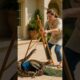 The brave lady saved the peacock. #rescue #animals #rescueefforts #funny#wildlife