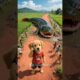The poor puppy rescue pregnant mudskipper #puppy #rescue #mudskipper #animals #funny