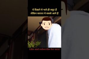 These cute puppies are very naughty | 😯 #shorts #holliwood #movieexplained #animals