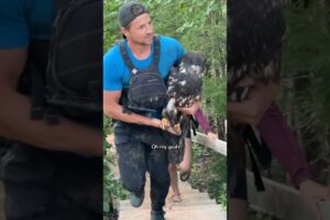 This Rescued Eagle Was So Grateful | The Dodo