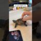 This couple rescued a baby turtle covered in mud, and then...