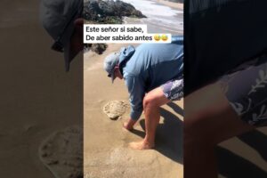 This man Find creepy worms in sand.