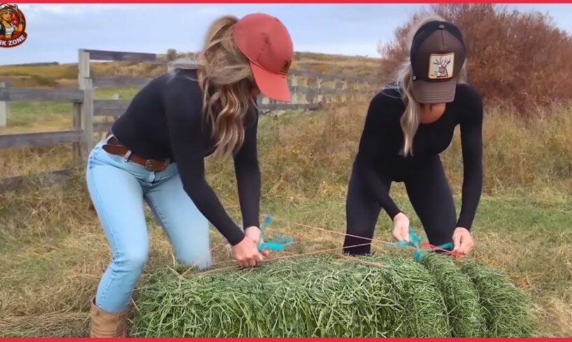 Try Not To Say WOW Challenge 💥Satisfying Videos Of Amazing People & Tools #16 💥 Relaxing Video